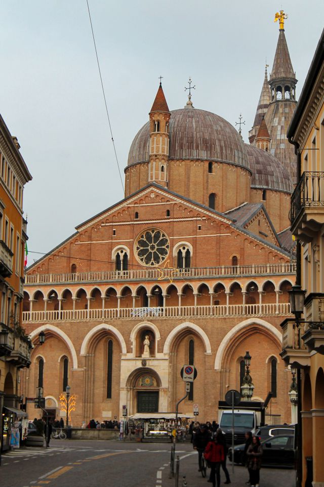 Mudanzas Padua
