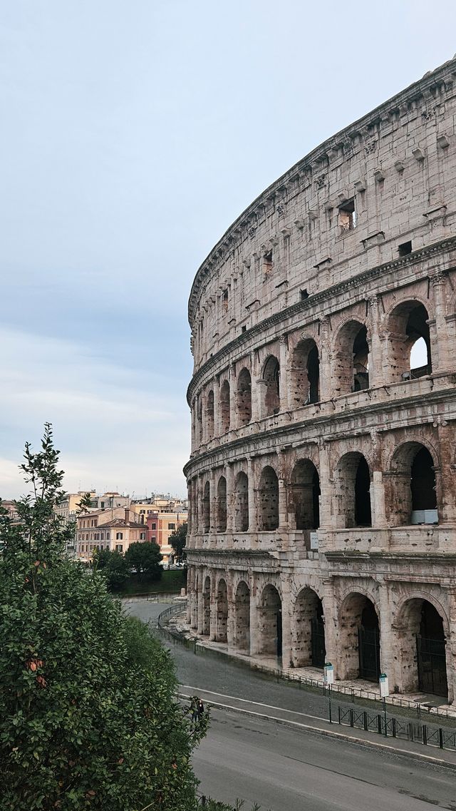Mudanzas Roma