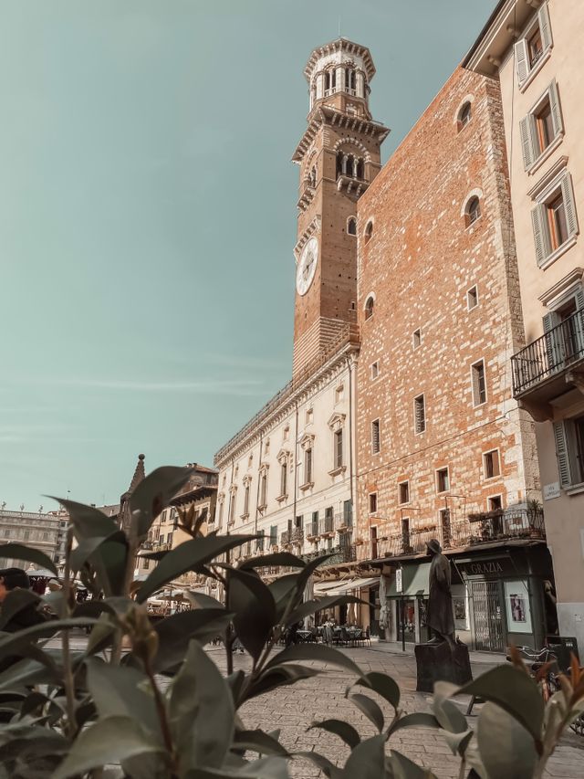 Mudanzas Verona